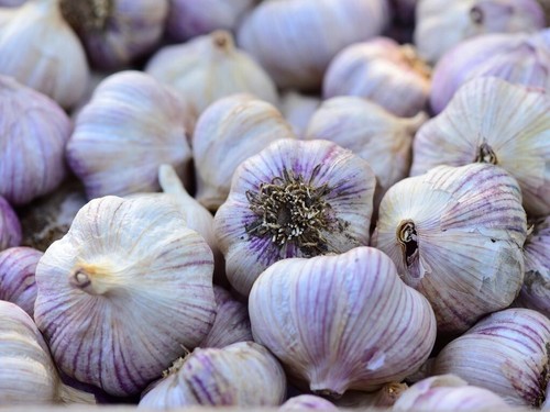 Siberian garlic whole - siberian,